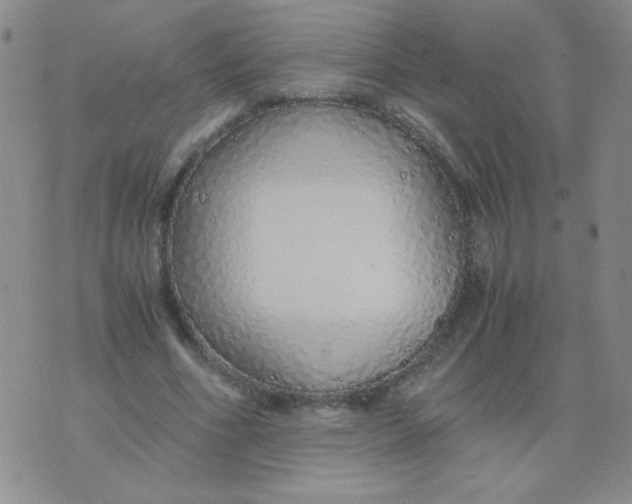 X0000076070586200610152230