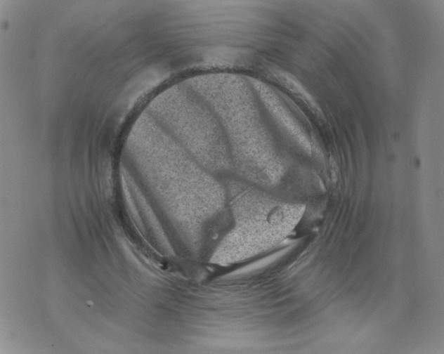 X0000076070588200610152230