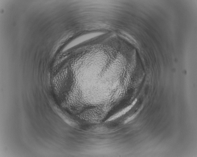 X0000076070589200610152230