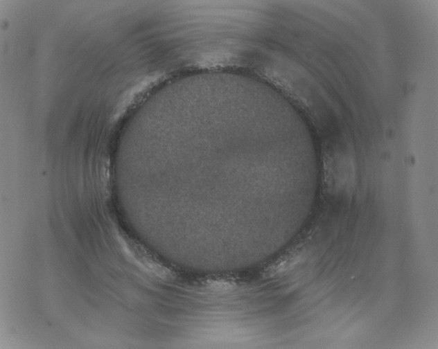 X0000076070592200610152229