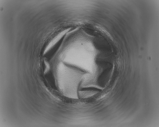 X0000076070593200610152229