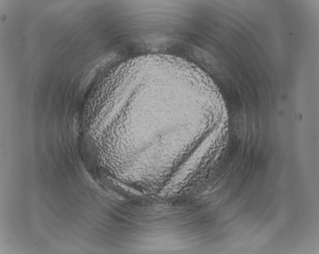 X0000076070594200610152229