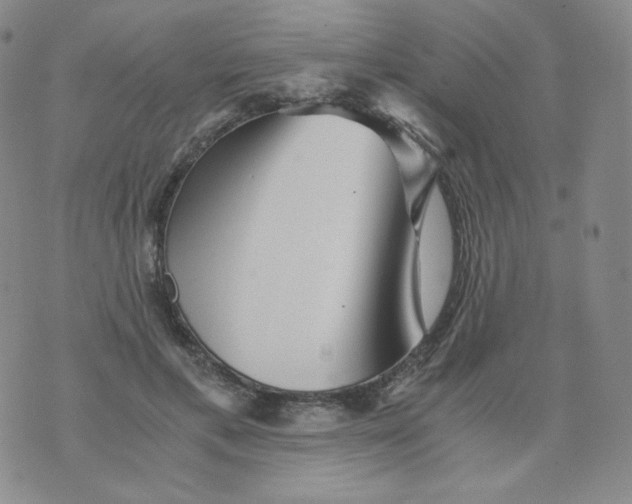 X0000076070597200610152229