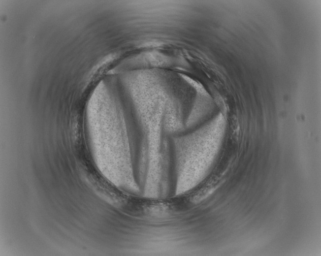 X0000076070600200610152229