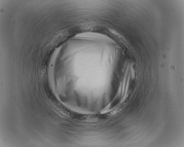 X0000076070601200610152229