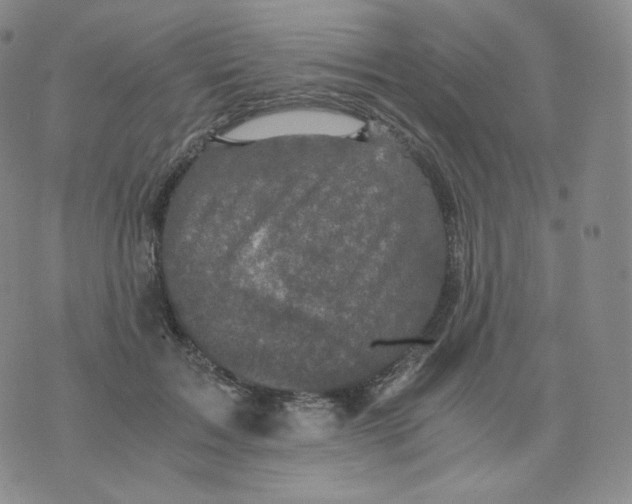 X0000076070603200610152229