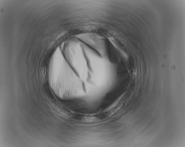 X0000076070605200610152229