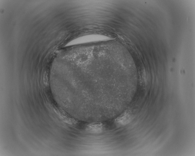 X0000076070606200610152229