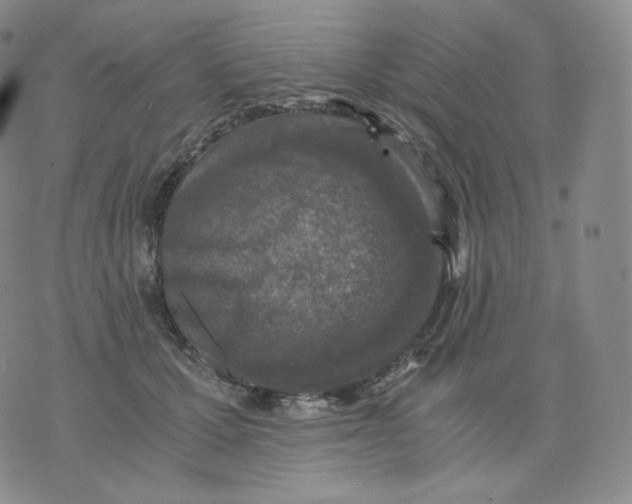 X0000076070607200610152229