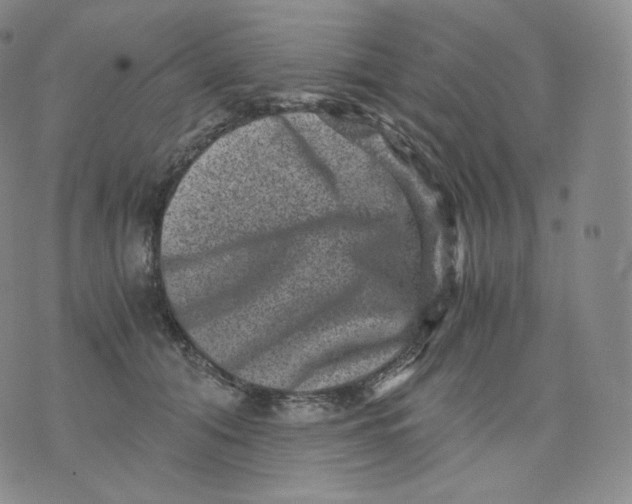 X0000076070608200610152229