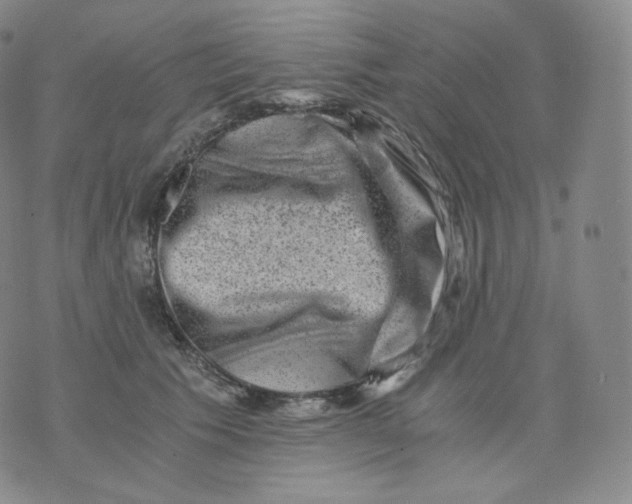 X0000076070609200610152229