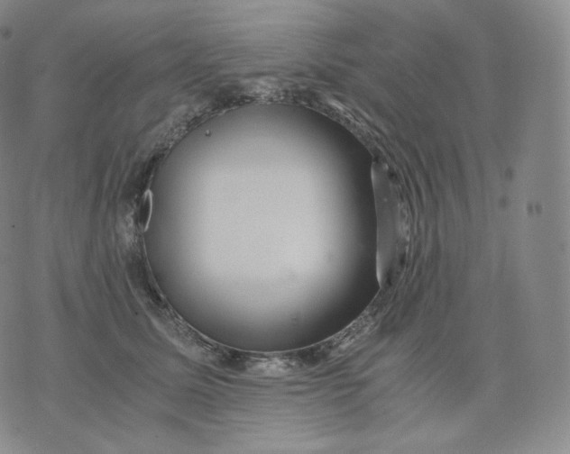 X0000076070611200610152229