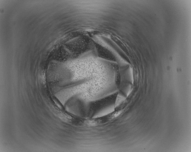 X0000076070613200610152229