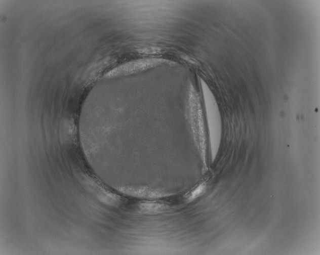 X0000076070614200610152229