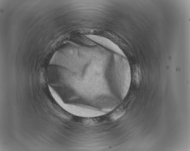 X0000076070616200610152229