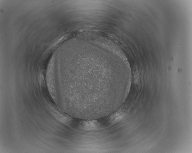 X0000076070618200610152229