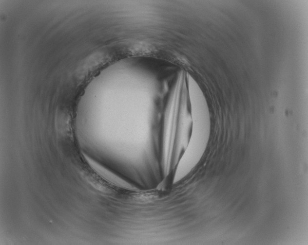 X0000076070619200610152229