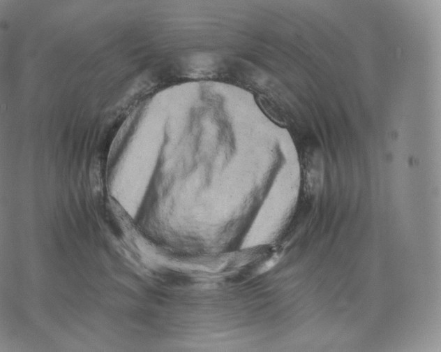 X0000076070620200610152229