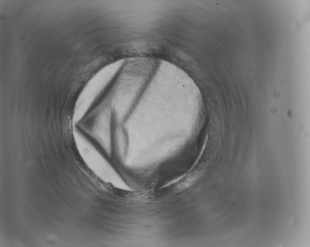 X0000076070624200610152229