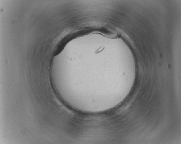 X0000076070625200610152228