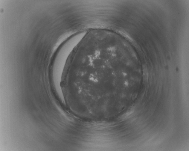 X0000076070626200610152228