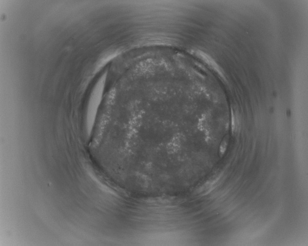 X0000076070627200610152228