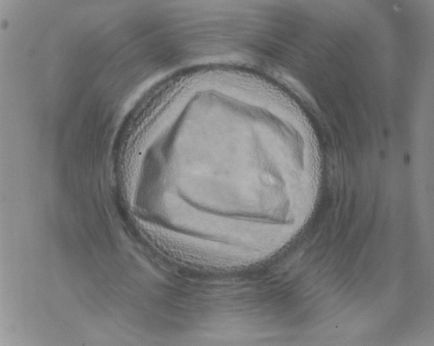 X0000076070628200610152228