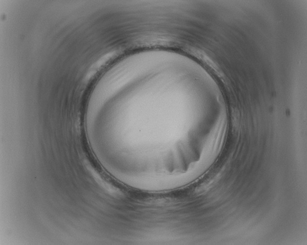 X0000076070629200610152228