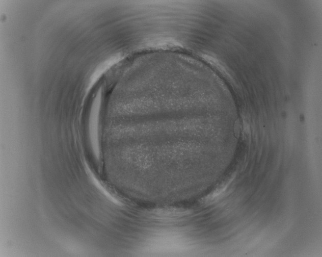 X0000076070630200610152228