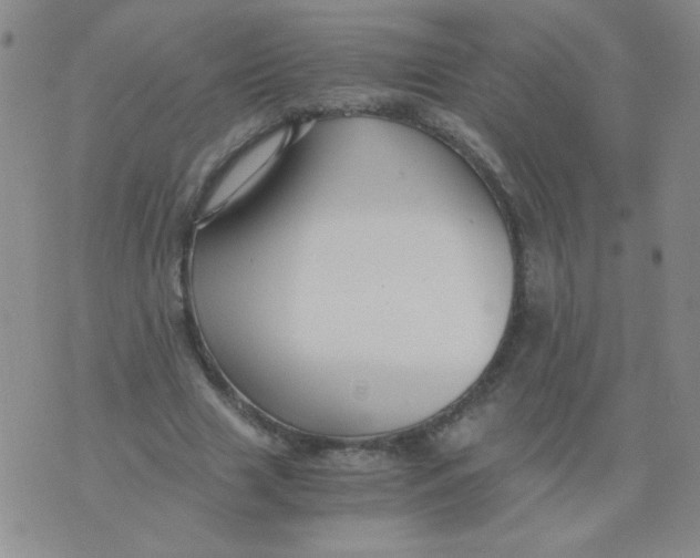 X0000076070633200610152228