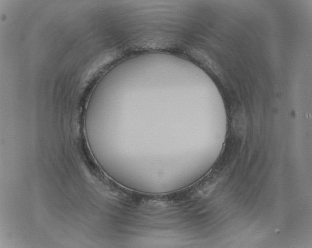 X0000076070635200610152228