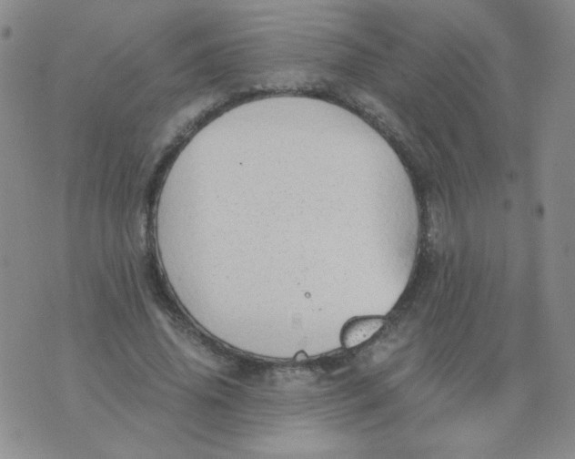 X0000076070636200610152228