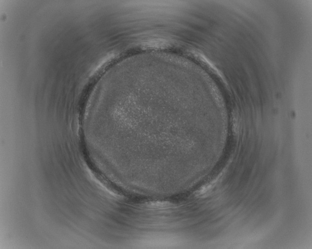 X0000076070637200610152228