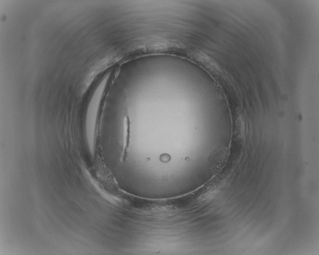 X0000076070638200610152228