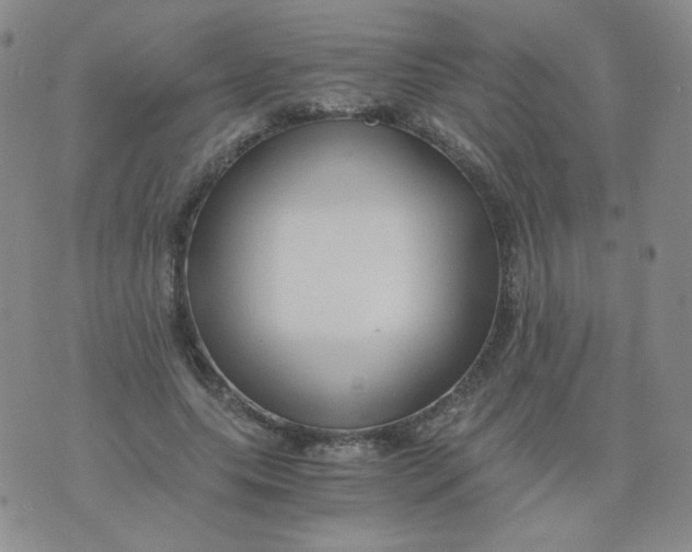 X0000076070639200610152228