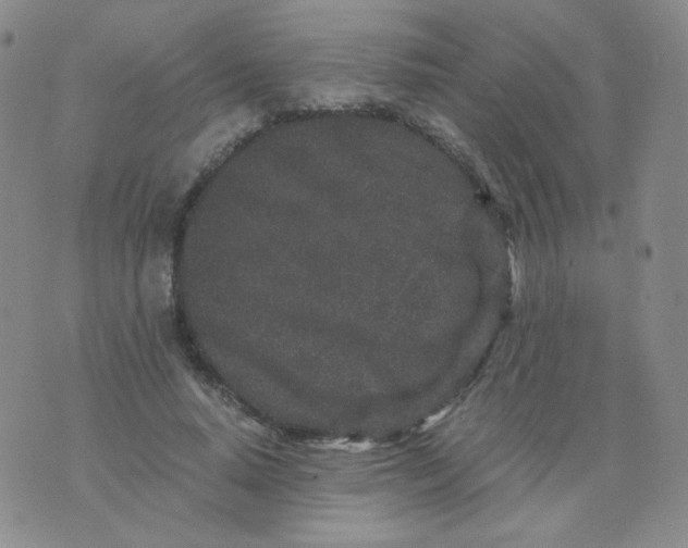 X0000076070640200610152228