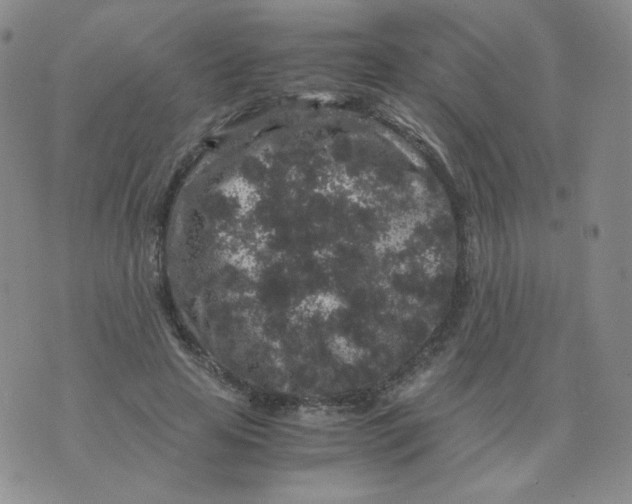 X0000076070641200610152228