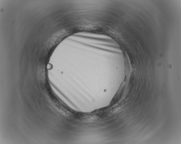 X0000076070642200610152228