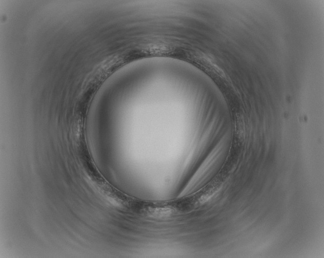 X0000076070645200610152229