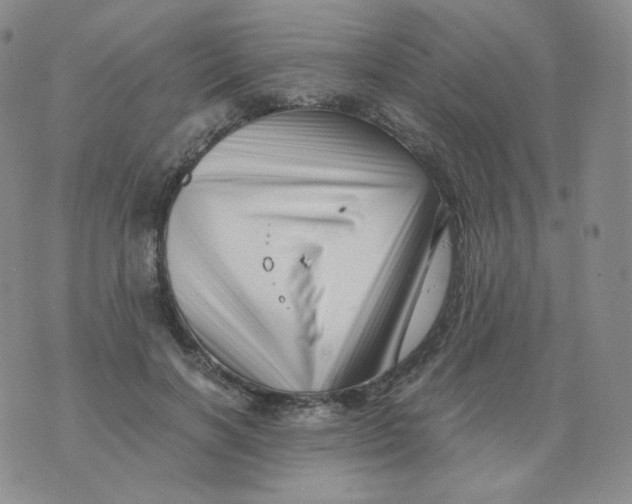 X0000076070646200610152229