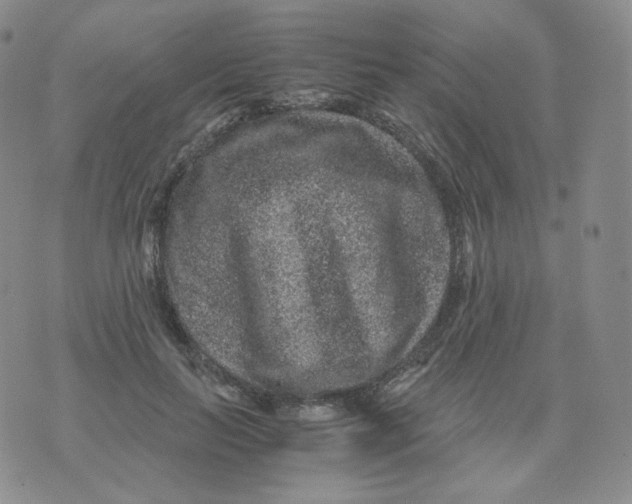 X0000076070647200610152229