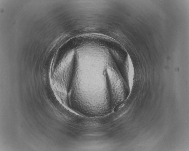 X0000076070648200610152229