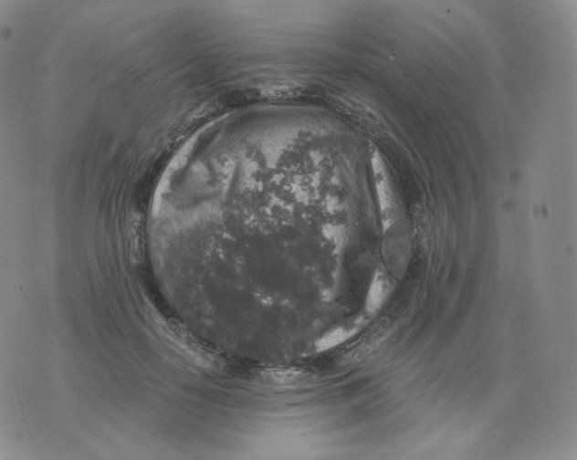 X0000076070650200610152229