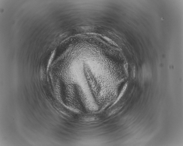 X0000076070651200610152229