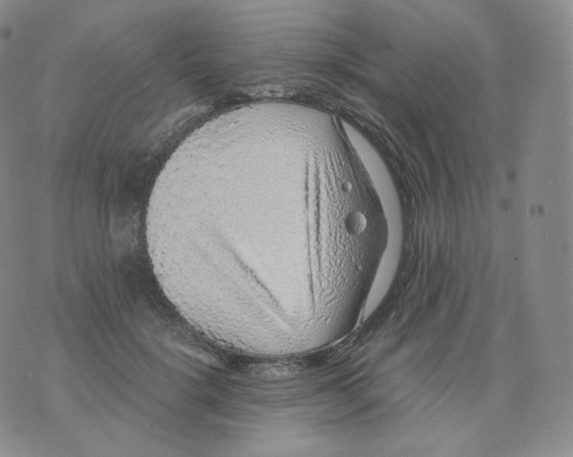 X0000076070652200610152229