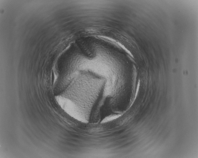 X0000076070653200610152229