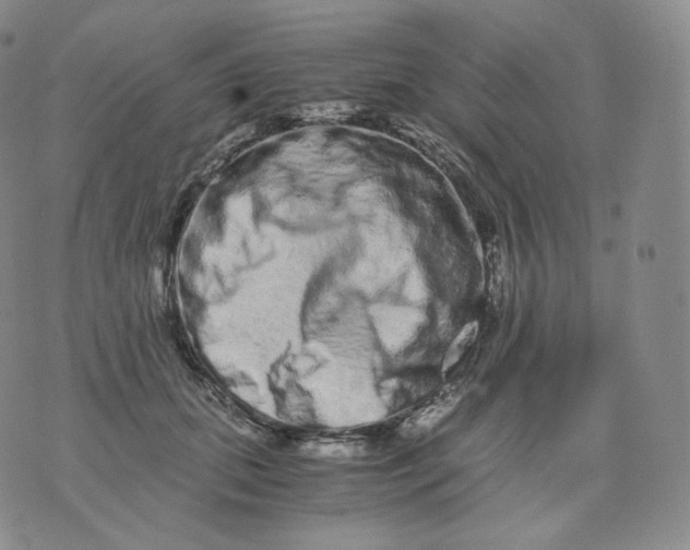 X0000076070655200610152229