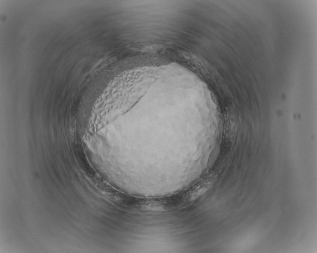 X0000076070656200610152229