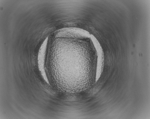 X0000076070658200610152229