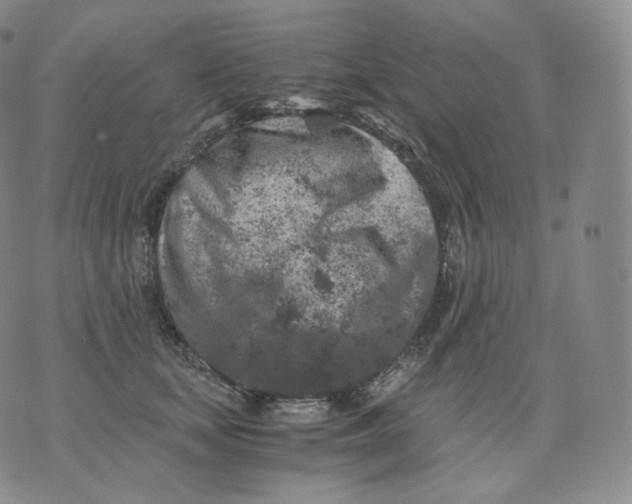 X0000076070659200610152229